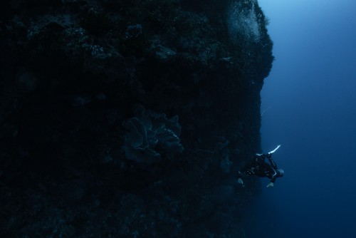 Deep Specialty Diver